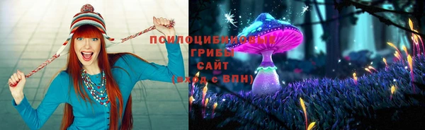 прущие крисы Алзамай