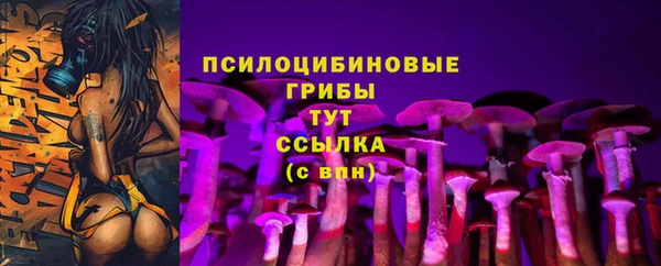 прущие крисы Алзамай