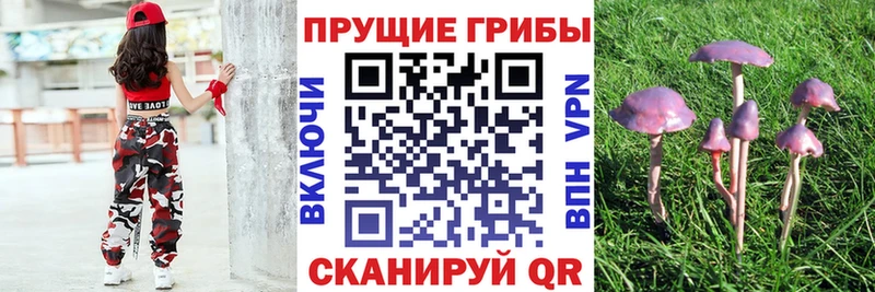 Псилоцибиновые грибы MAGIC MUSHROOMS  Крым 